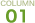 COLUMN01