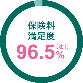 یx96.5%i1j