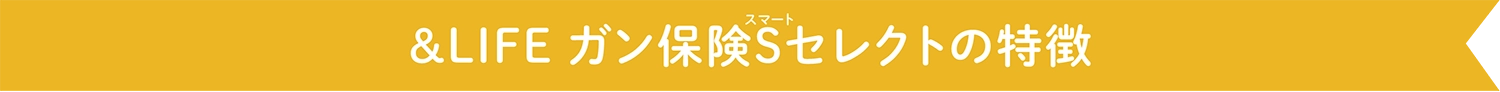 &LIFEガン保険Sセレクトの特徴