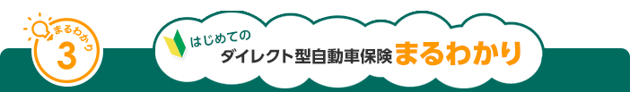 まるわかり3 はじめてのダイレクト型自動車保険まるわかり 森由佳