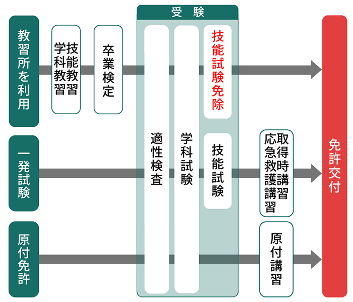 バイク免許の取得費用や取得可能な年齢 取得期間などを種類ごとに解説 自動車保険の三井ダイレクト損保