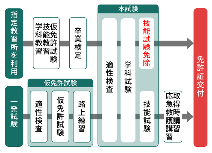 普通自動車免許とは 履歴書に書く正式名称や第一種 第二種の違い 免許の取り方などを解説 自動車保険の三井ダイレクト損保