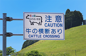 牛の横断ありの道路標識