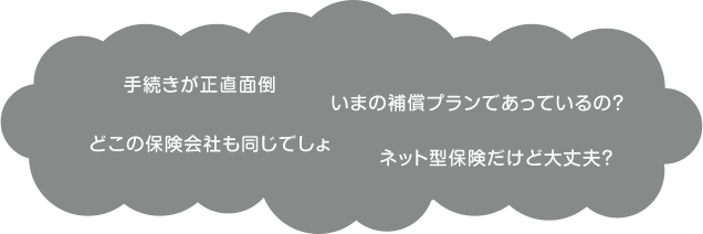 手続きが正直面倒 いまの補償プランであっているの？ どこの保険会社も同じでしょ ネット型保険だけど大丈夫？