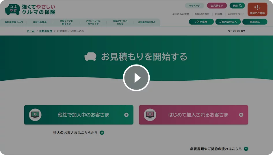 動画